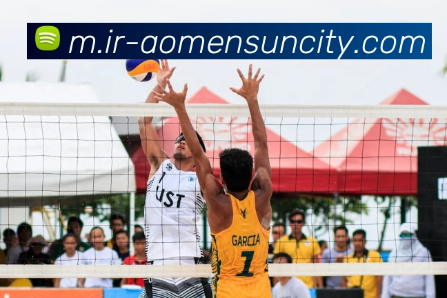 多媒体互动体验